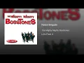 Noise Brigade - The Mighty Mighty Bosstones