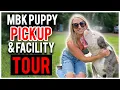 Picking Up Our 2nd XL Bully from Monster Bully Kennels Facility Tour