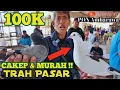 Download Lagu BLANTONG CAKEP \u0026 MURAH CUMA 100K | VLOG PON PART 2