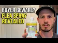 I Tried BugMD Flea Spray on My Cat Here s What Happened