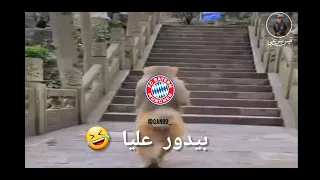 برشلونة وبايرن ميونيخ    بيدور عليا     دندنها