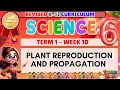 GRADE 6 SCIENCE 6 TERM 1 WEEK 10 REVISED K-12 CURRICULUM - PLANT REPRODUCTION AND PROPAGATION