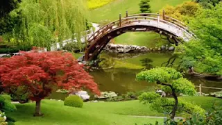 ايات قرأنيه خاشعة بصوت جميل جدا جدا  تتكلم عن الجنة والنار بصوت الشيخ محمد الحيدان دندنها