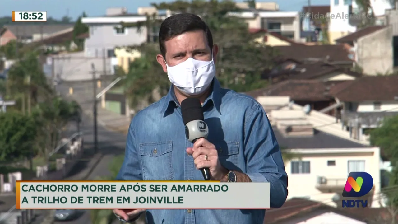 Cachorro morre após ser amarrado a trilho de trem em Joinville