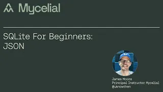 SQLite for beginners JSON