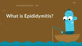 What is Epididymitis Sperm Tube Inflammation