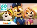 Download Lagu PAW Patrol | Die besten PAW Patrol-Momente - 1 Stunde! | Nick Jr. Deutschland