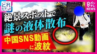 「日本人は怠け者。薬で枯らしてやる」富士山の絶景スポットで中国語話す人物が“謎の液体”を散布 動画が中国SNSに拡散され波紋 本人にメッセージを送るも…|旬感LIVE とれたてっ!〈カンテレ〉