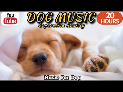 Download MP3 20 HOURS of Dog Calming Sleep Music🐶💖Anti Separation Anxiety Relief🦮🎵 Dog Tv Music⭐Healingmate