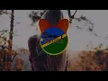 Vision - Qing Madi ( NEMJ REMIX ) Swing bounce