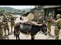Download Lagu 日軍進村掃蕩，怎料被一個騎驢少年一招全滅💀#action #drama #war #kungfu #大陸劇 #剧情 #功夫 #中国电视剧