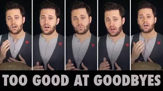 Download Too Good at Goodbyes - A Cappella - Sam Smith - Nick Pitera (cover) MP3