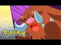 Download Lagu As Cold as Pryce | POKÉMON FULL EPISODE 28 | Season 5