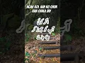 Download Lagu Agar Koi aap ko Chor Kar chala jay#viralvideo 🥺🥺
