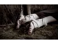 Project Pitchfork - What Have We Done
