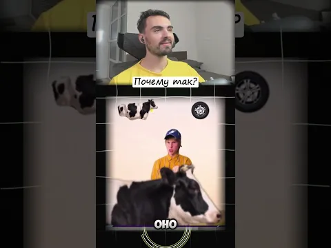 Twitch: Erokez61 #Erokez Почему так?