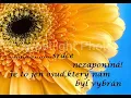 Elán - Ak nie si moja