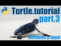Python Turtle Tutorial - Lesson 3