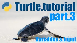 Python Turtle Tutorial - Lesson 3