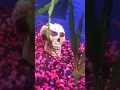 Panhandle Exotics coolest animal trip
