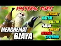 Download Lagu MASTERAN LENGKAP SUARA JERNIH KUALITAS HD