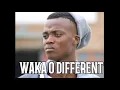 Download Lagu WAKA O DIFFERENT NEW HIT_BY KING MONADA