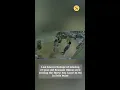 Last known footage of missing 27-year-old Branson Oduor