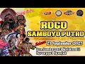 Download Lagu Live jaranan hari ini ROGO SAMBOYO PUTRO di Sumbersari Mojokendil Ngronggot Nganjuk Pelangi Audio