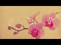 Lumayo Ka Man Sa Akin - Rodel Naval (Lyrics)