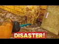 Download Lagu De eigenaar was niet blij met mij nadat ik de afvoer had ontstopt!