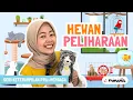 Download Lagu HEWAN PELIHARAAN | Belajar Keterampilan Pra Membaca