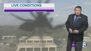 Giant bug attacks 6 News weather camera