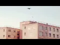 Laurence Guy - The Grouse / Accidental Pieces 002