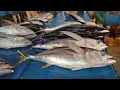 Fresh yellowfin tuna cutting skills❗🔥 live from the Jembatan Puri Sorong fish market, Indonesia