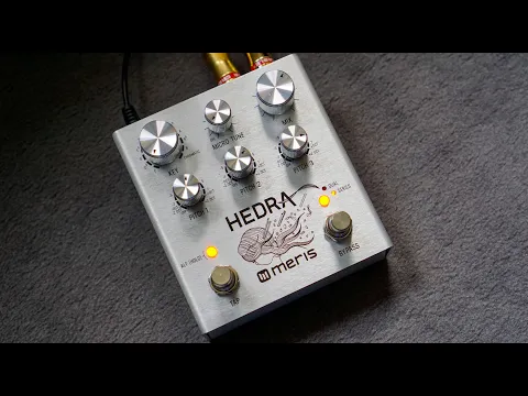 Meris Hedra Stereo Rhythmical Pitch-Shifter | Delicious Audio