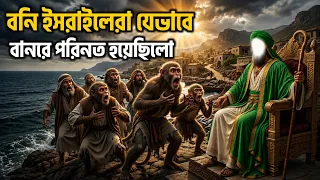 আল্লাহর গজবে বনী ইসরাইলেরা বানরে পরিণত হওয়ার ঘটনা || দাউদ (আঃ) এর বিস্ময়কর কাহিনী || MD Voice Tv