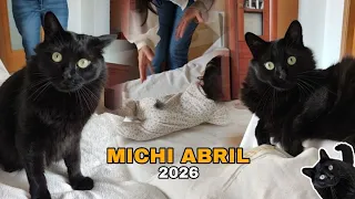 Michi ABRIL 2026. Mi Karen 2.0 me quiere robar el protagonismo 