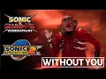 Download Lagu I PUT WITHOUT YOU IN SONIC 3!