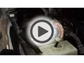 Peak Antifreeze Tester - Pep Boys