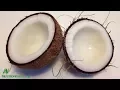 What About Coconuts Coconut Milk and Coconut Oil MCTs