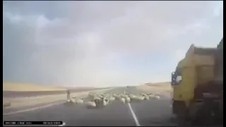 حادث الطريق الصحراوي الاردن 20 3 2021 