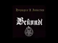 Download Lagu Brünndl - Tondarstula