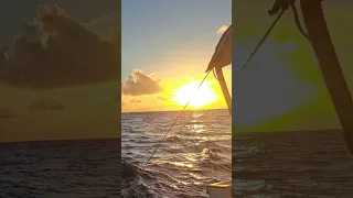 Sunrise Sunset – Can you tell which is which? #sailing #sunset