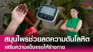  กระเทียมสดช่วยลดความดันโลหิตได้อย่างไร และมีข้อควรระวังอะไรบ้าง 