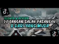 Download Lagu DJ JANGAN SALAH PASANGAN X DARI YANG MUDA [SLOWED + REVERB]