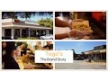 Togo s The Brand Story