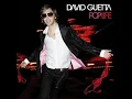 David Guetta feat.Chris Willis -Love is Gone(LYRICS)