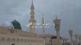 في حب في وجد واشتياق لا يحد أحمد النفيس ومحمد الفزالي حالات واتس 