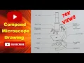 How to Draw Microscope Compound Microscope