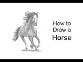 How to Draw a Horse Running Front View